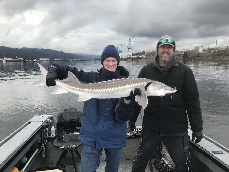 4 ft White Sturgeon near Canby